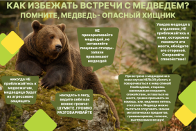 Внимание опасные животные!.